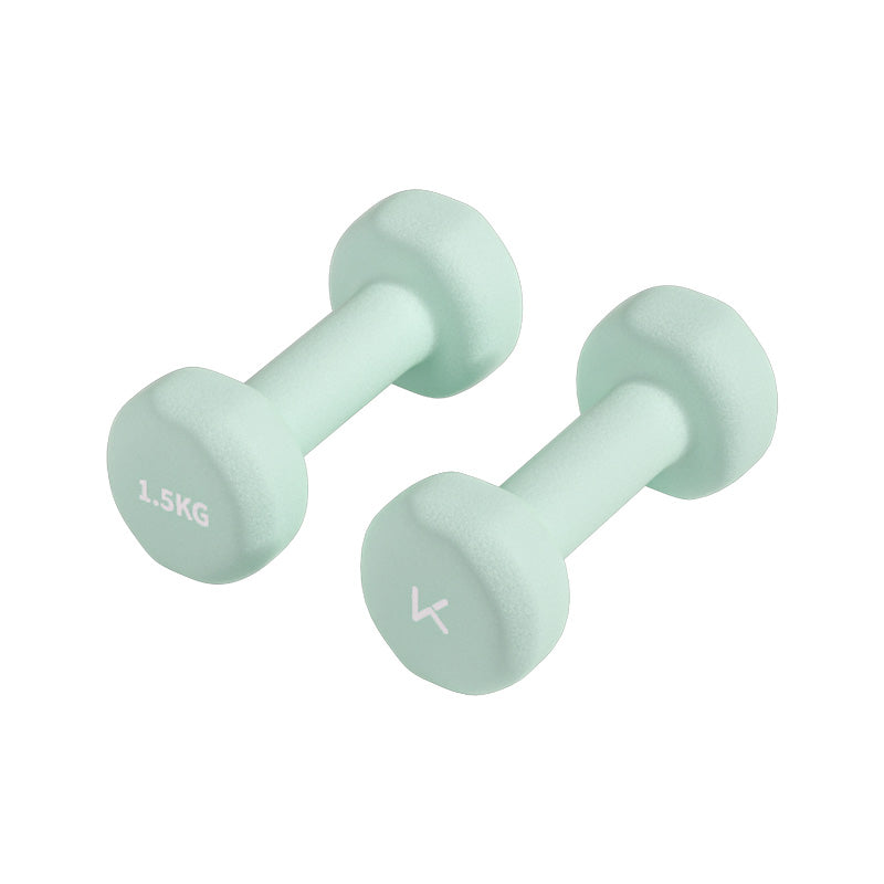 Colorful Dip-coated Dumbbells